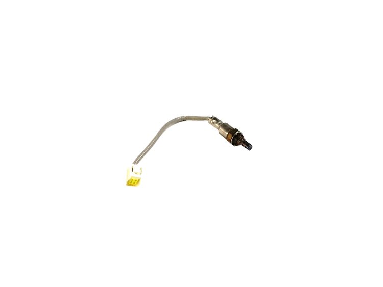 SENSOR OXYGEN