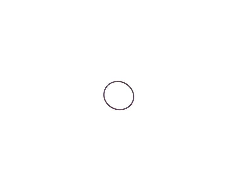 O RING
