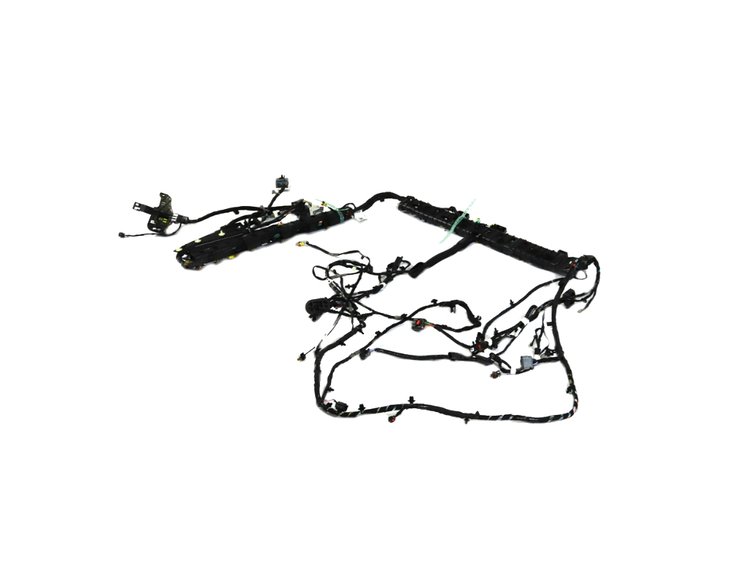 WIRING BODY LEFT