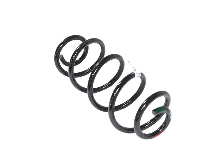 SPRING REAR COIL