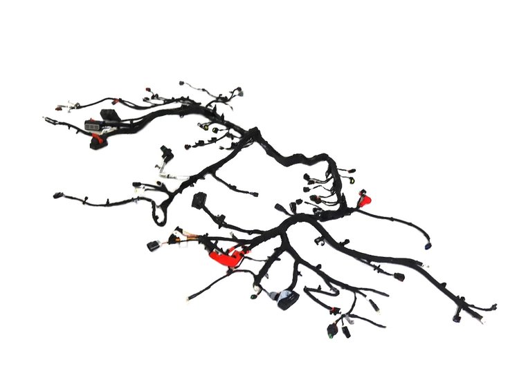 WIRING TRANSMISSION