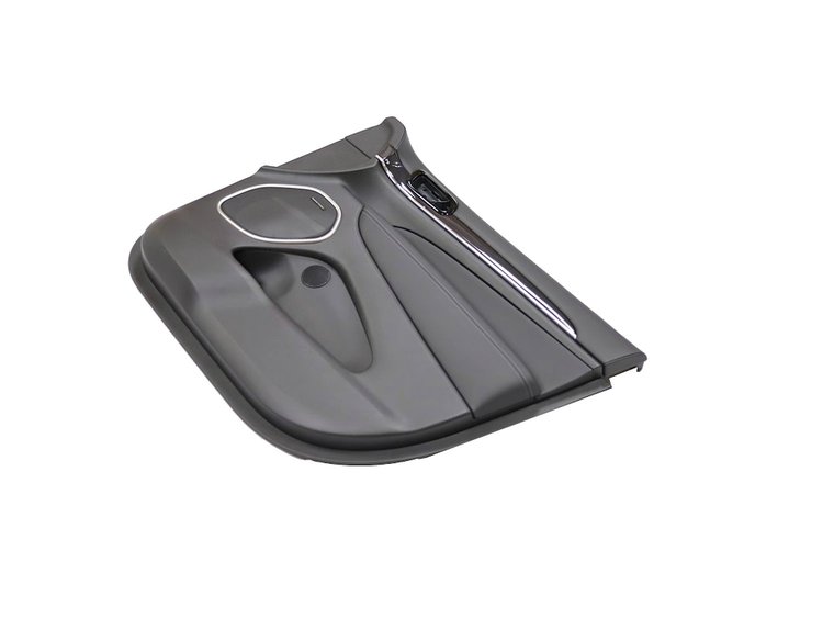 PANELASSY FRONT DOOR TRIM