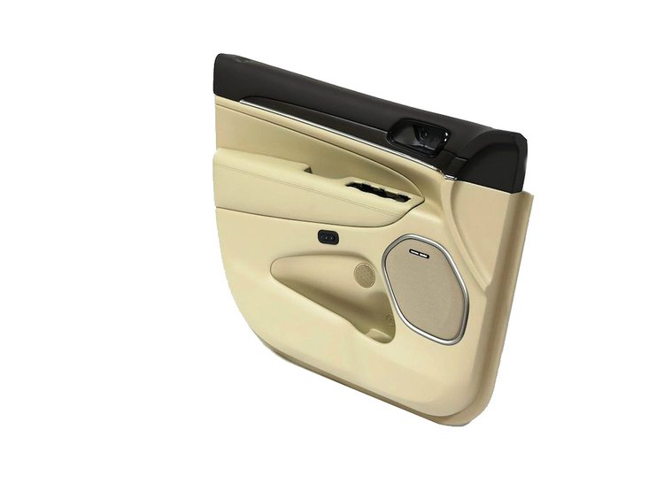 PANELASSY FRONT DOOR TRIM