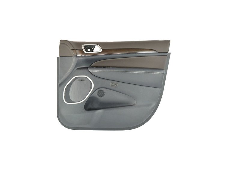 PANELASSY FRONT DOOR TRIM
