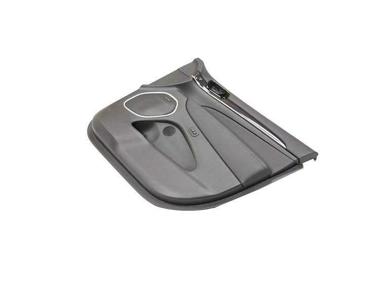PANELASSY FRONT DOOR TRIM