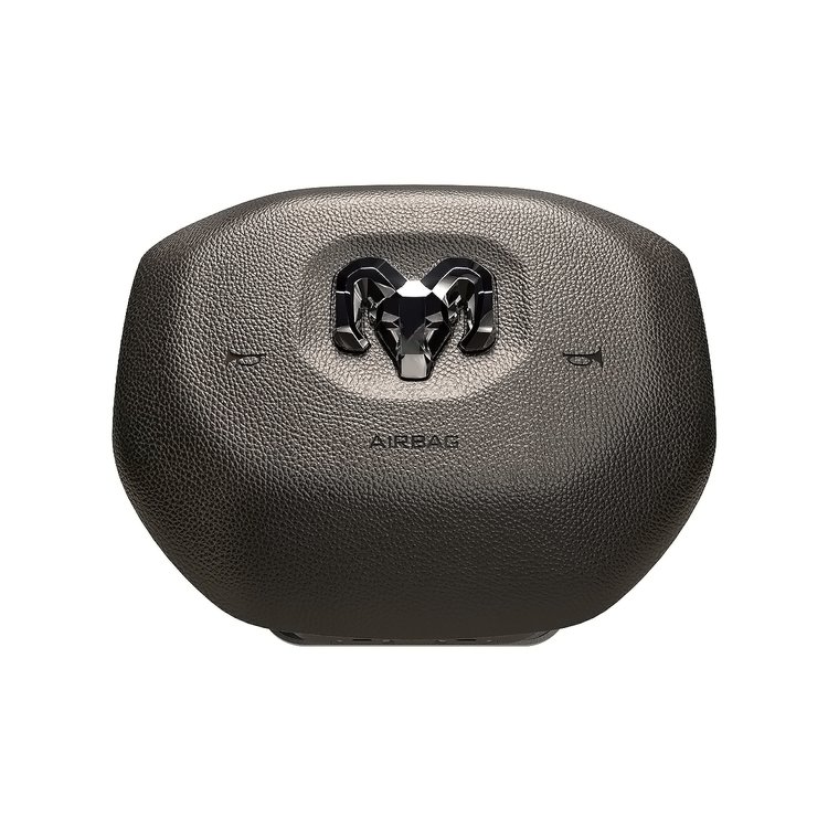 AIR BAG DRIVER