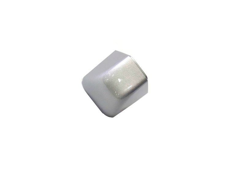 CAP DOOR HANDLE
