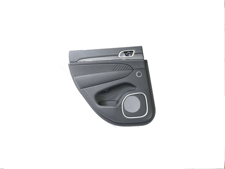 PANELASSY REAR DOOR TRIM