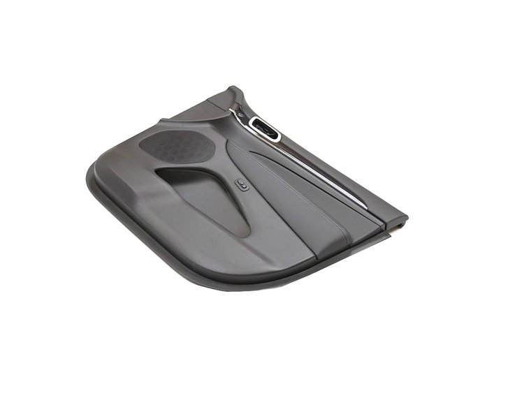 PANELASSY FRONT DOOR TRIM