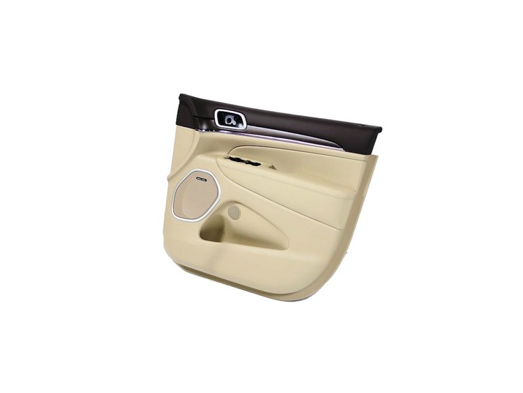 PANELASSY FRONT DOOR TRIM