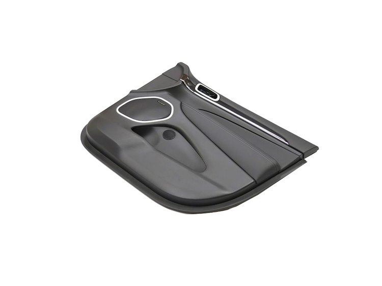 PANELASSY FRONT DOOR TRIM