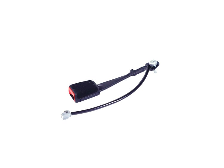 SEAT BELT BUCKLE ASSEMBLY