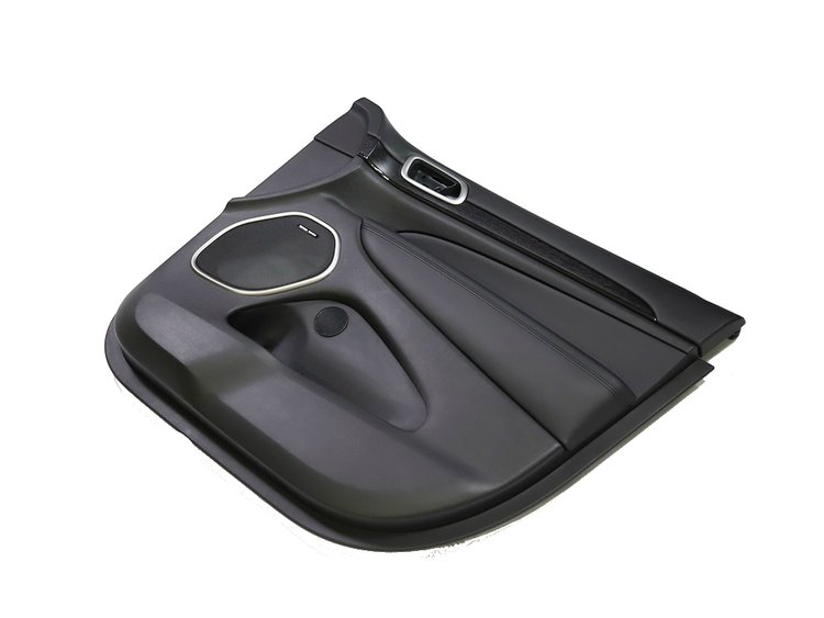 PANELASSY FRONT DOOR TRIM