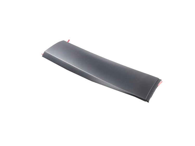 MOLDING REAR DOOR
