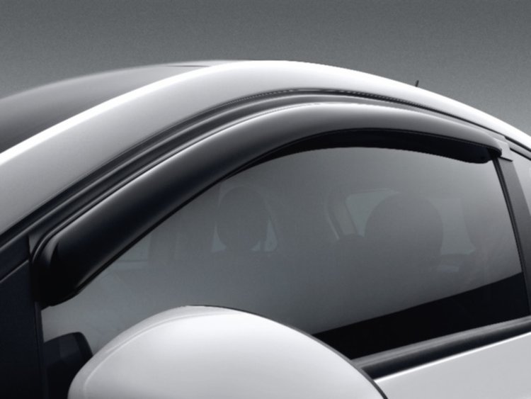 DEFLECTOR WINDOW