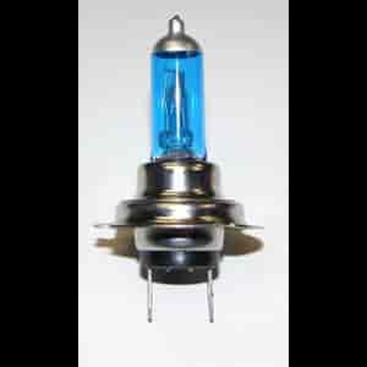 Halogen Blue Bulb H7