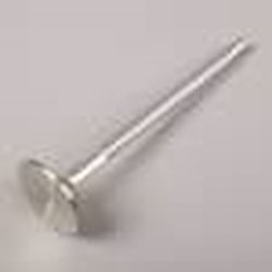 Big Chief Exhaust Valve