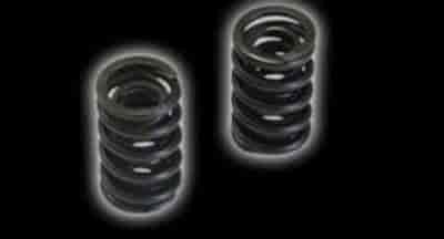 Valve Spring