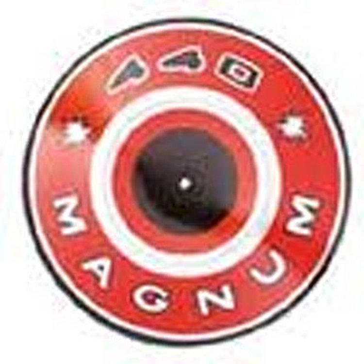 Engine ID Plate 440 Magnum