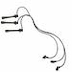 Spark Plug Wire Set 1995-2004 Toyota 4Runner, Tacoma, T100, Tundra