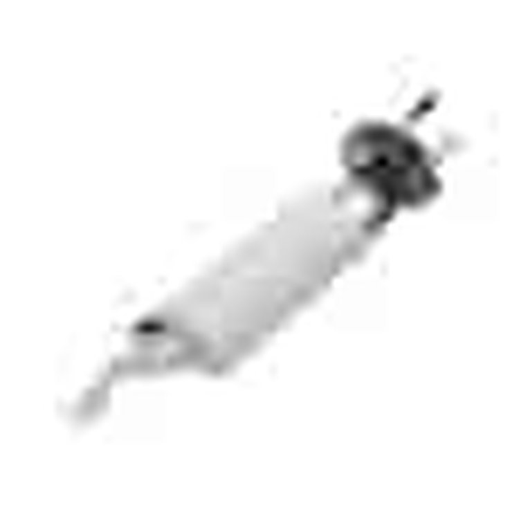 Fuel Pump Module Assembly