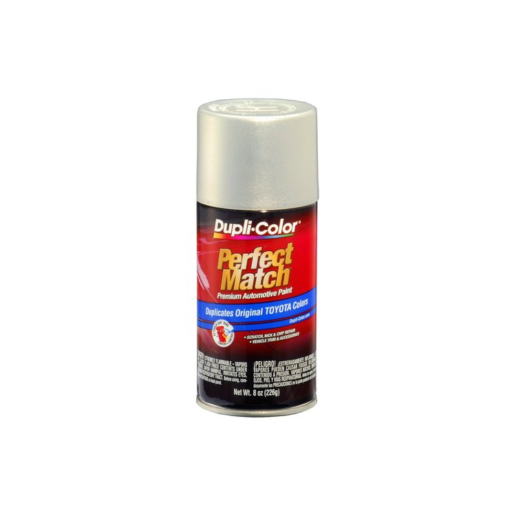 Perfect Match Touch-Up Paint Silver Opal