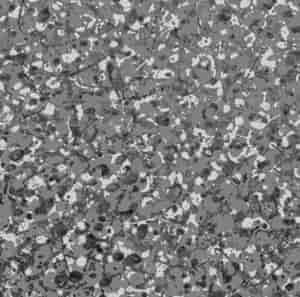 Spatter Paint Gray/White