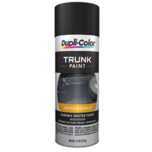 Trunk Paint Black & Aqua