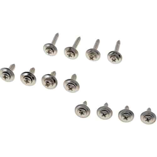 02404 Chrome Trim Screw Assortment
