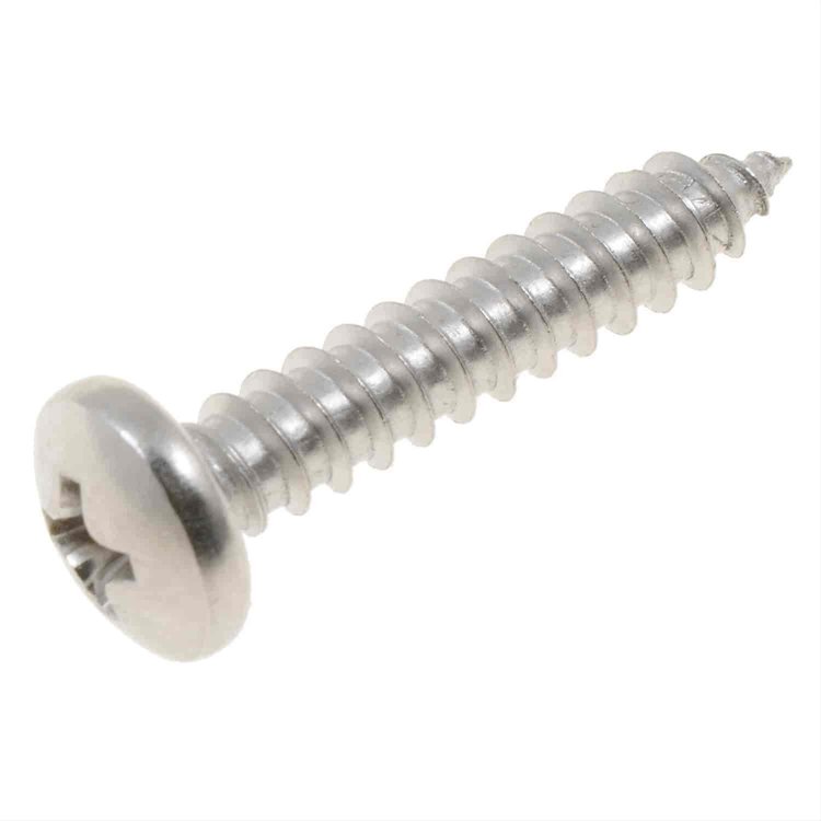 SCRW SLFTAP SS 10X1