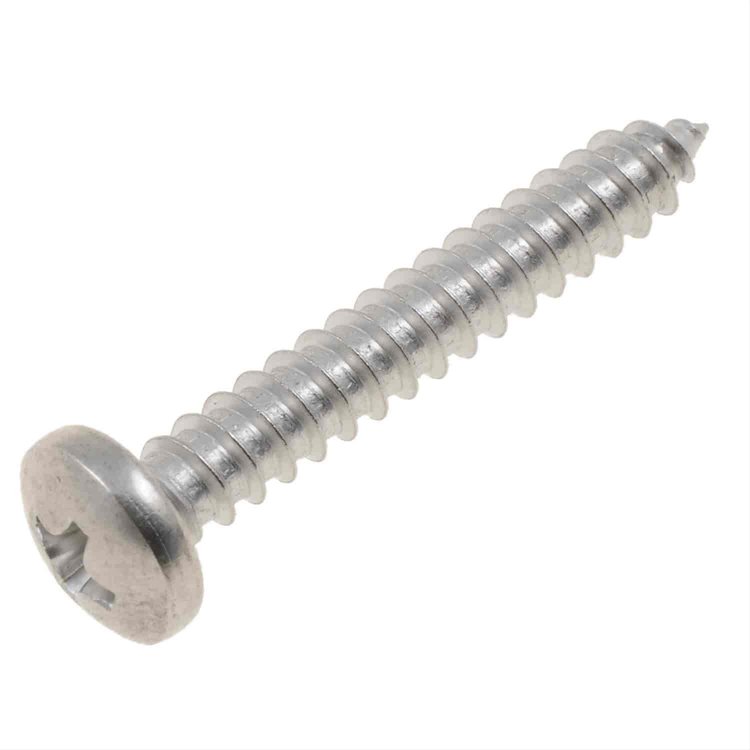 SCRW SLFTAP SS 10X1-1/4