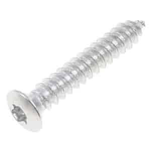 SCRW TORQ HEAD 8 x 1