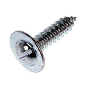 LIC PLT FSTN 10X3/4