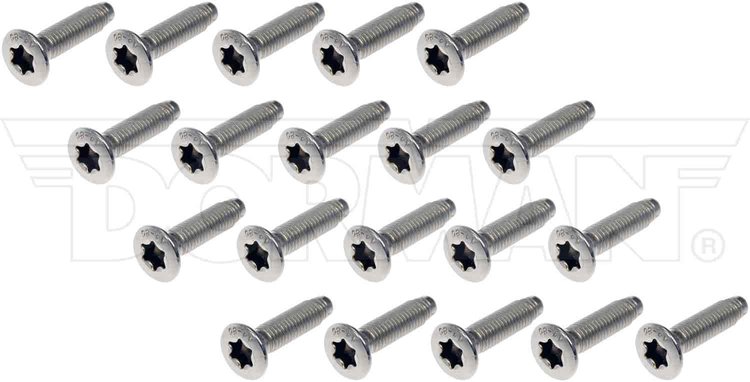 DOOR SCREWS