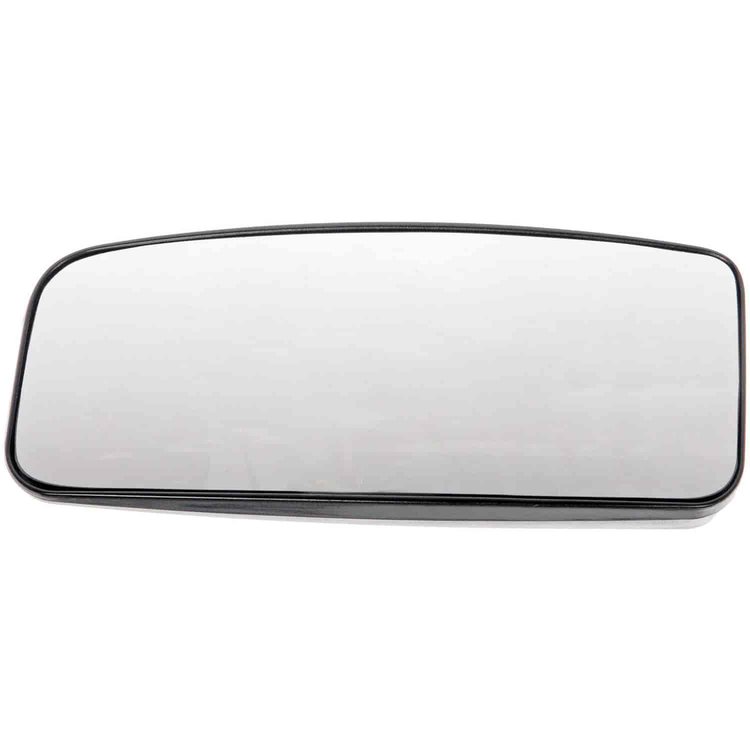 Replacement Glass - Plastic Backing