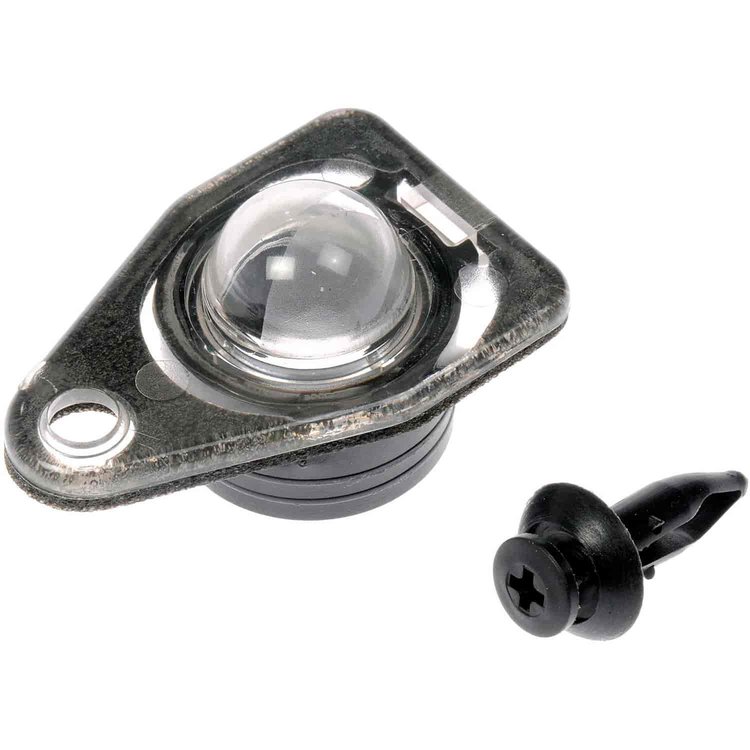 License Plate Lens Replacement