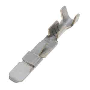 TERM GM PACK CON 14-18 M