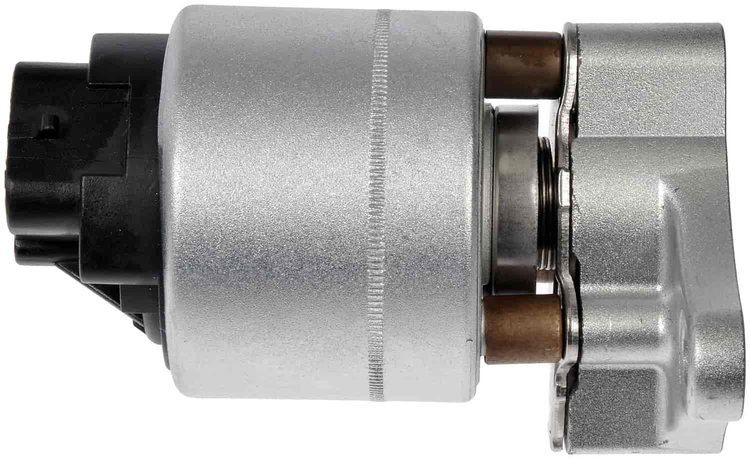 Exhaust Gas Recirculation Valve