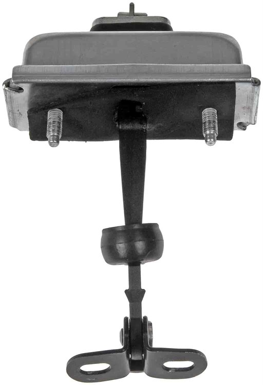 Door Check Assembly