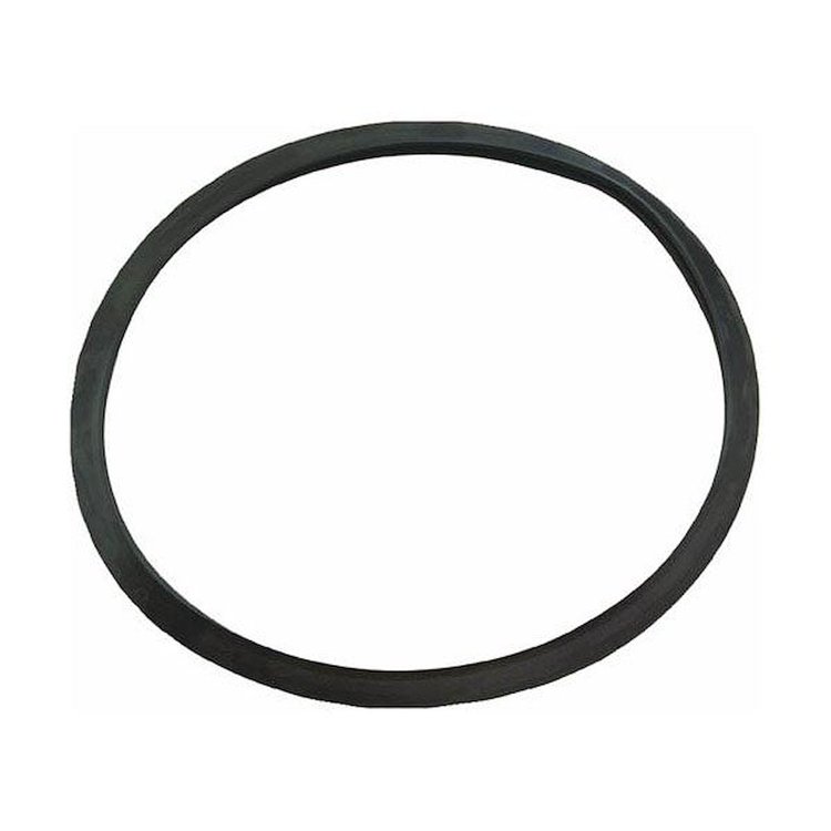 11861 O-Ring (Gasket), For Dual Blaster 11737