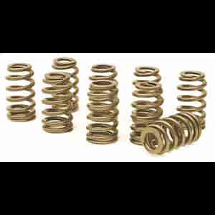 Ovate Beehive Valve Springs Universal