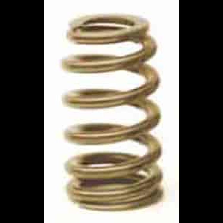 Ovate Beehive Valve Spring Ford