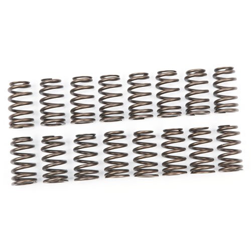 Ovate Beehive Valve Springs Performance LS1