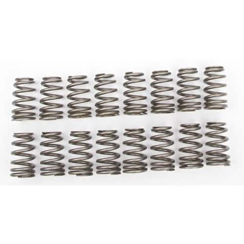 Ovate Beehive Valve Springs Universal