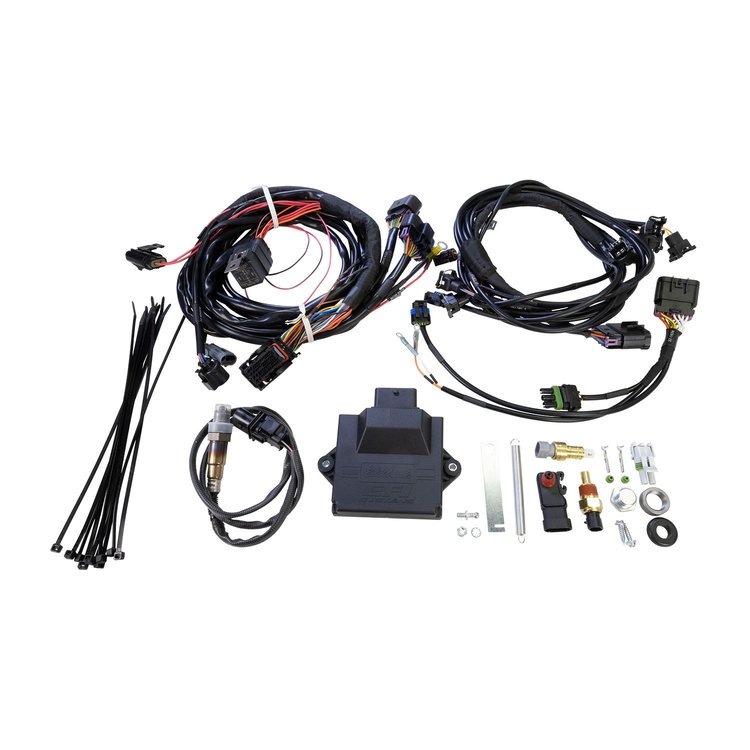 PRO FLO 4 ECU AND HARNESS