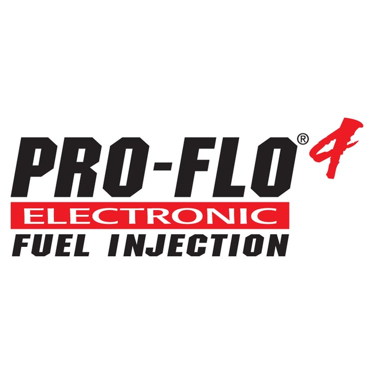 Pro-Flo 4 XT EFI System GM LS Gen III & Gen IV Rectangle Port Heads