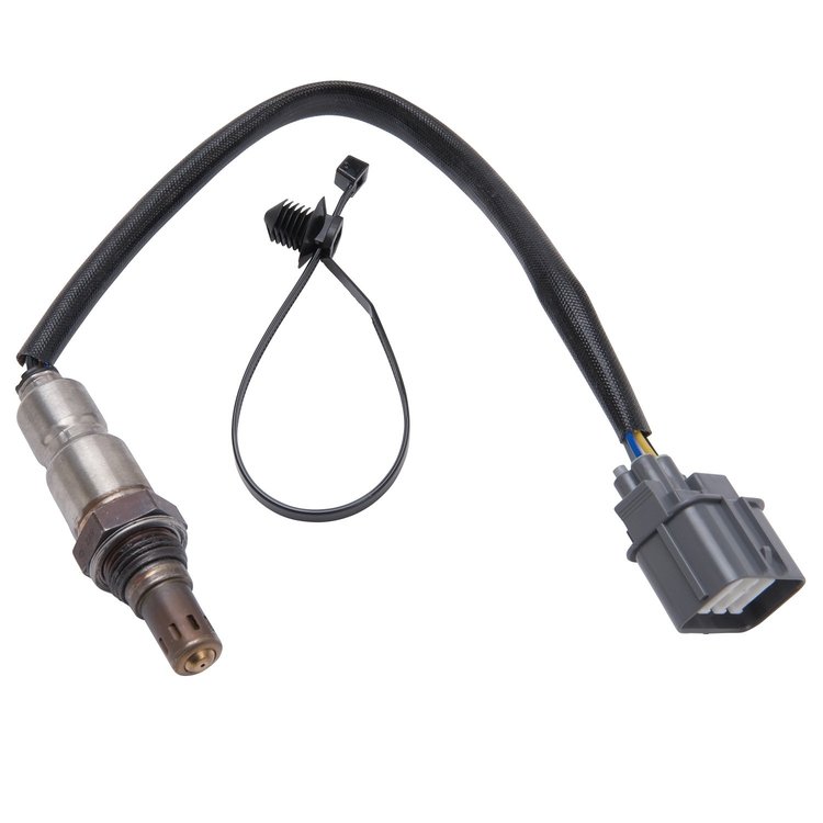 Wide-Band Oxygen Sensor for Pro-Flo Sportsman Systems