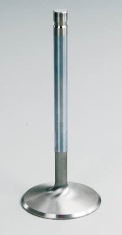 CHRYLSER 318 MAGNUM VALVE