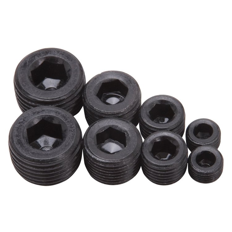 Internal Hex Head Pipe Plugs