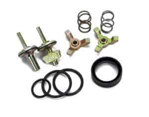 Viton Repair Kit -12